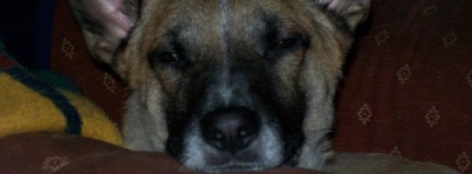 Stimmungsbild-John Sven-Schneider-1